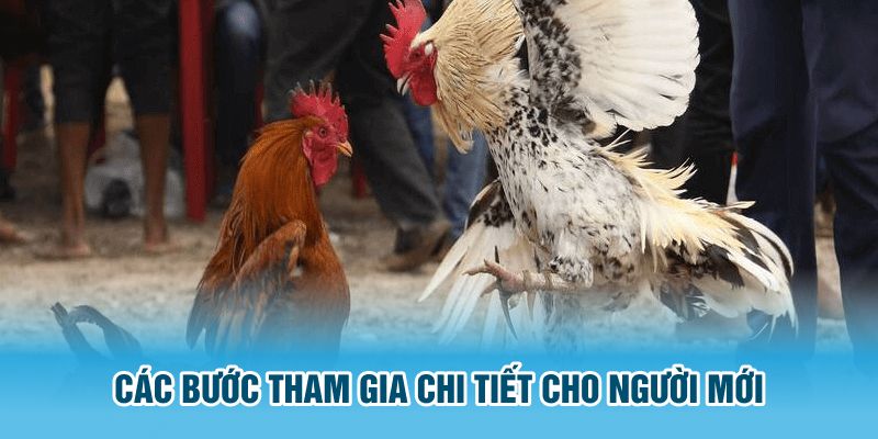 Các bước tham gia chi tiết cho người mới