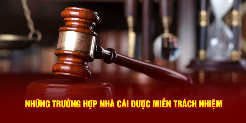 Các trường hợp nhà cái được miễn trách nhiệm cập nhật mới nhất